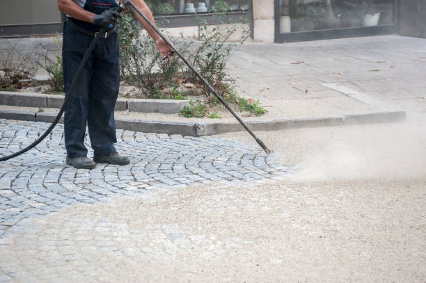 Best Animal Enclosure Cleaning  in Beaufort, NC